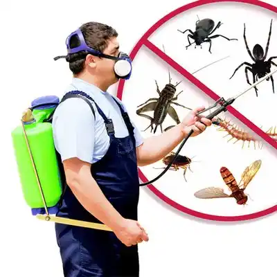 pest control Milford Center